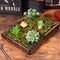 Artificial Moss : 60g Artificial Green Fake Moss for Crafts Decorative Artificial Faux Moss for Plant Craft Flower Garden Wedding Christmas Table Centerpieces Decor